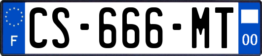 CS-666-MT