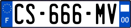 CS-666-MV