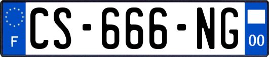 CS-666-NG