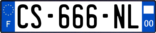 CS-666-NL