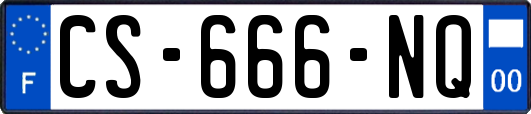 CS-666-NQ