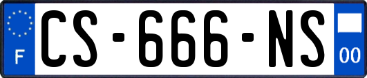 CS-666-NS