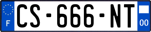 CS-666-NT