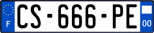 CS-666-PE