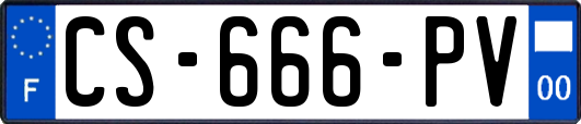 CS-666-PV
