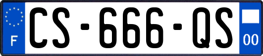 CS-666-QS