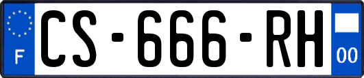 CS-666-RH