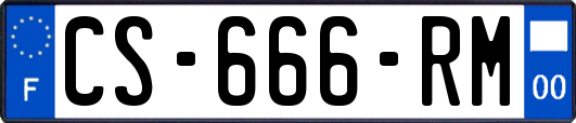 CS-666-RM