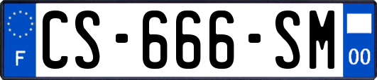 CS-666-SM