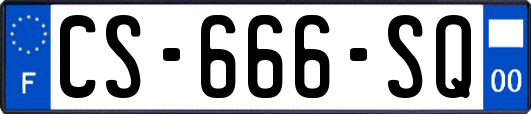 CS-666-SQ