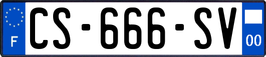 CS-666-SV
