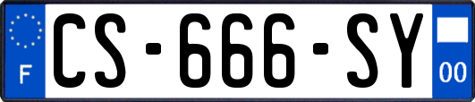 CS-666-SY