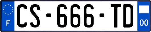 CS-666-TD