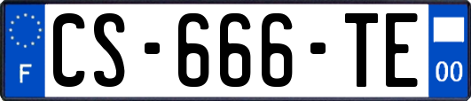 CS-666-TE