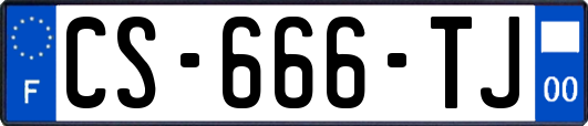 CS-666-TJ