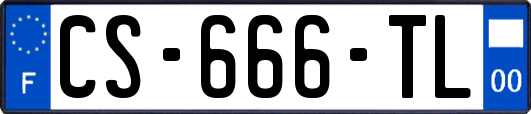CS-666-TL