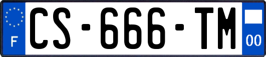 CS-666-TM
