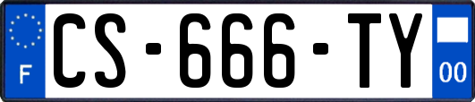 CS-666-TY
