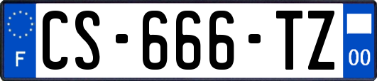 CS-666-TZ