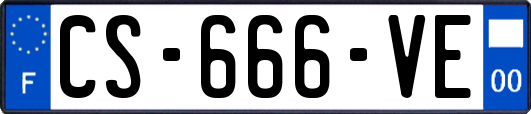 CS-666-VE