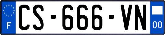 CS-666-VN
