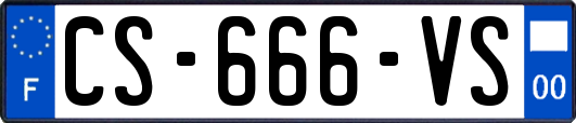 CS-666-VS
