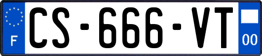 CS-666-VT