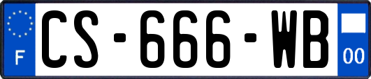 CS-666-WB