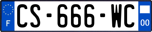 CS-666-WC