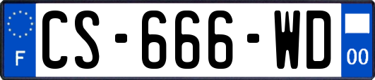 CS-666-WD