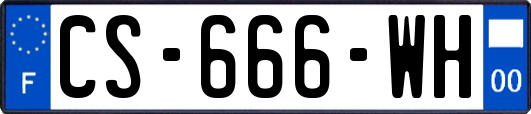 CS-666-WH