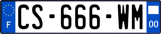 CS-666-WM