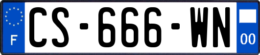 CS-666-WN