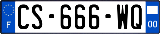 CS-666-WQ