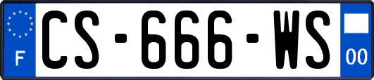 CS-666-WS