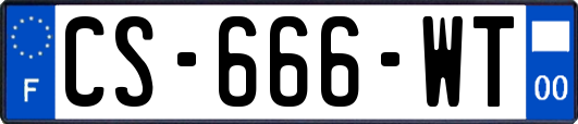 CS-666-WT