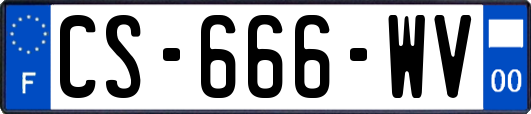 CS-666-WV