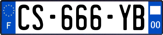 CS-666-YB