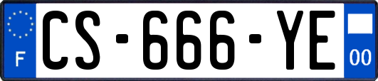 CS-666-YE