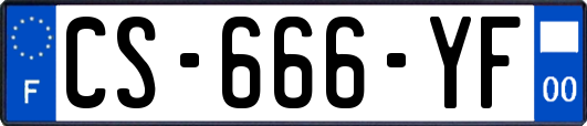 CS-666-YF