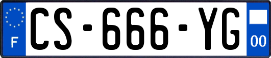 CS-666-YG