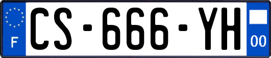 CS-666-YH