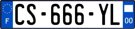 CS-666-YL