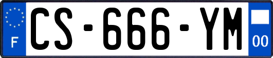 CS-666-YM