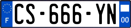 CS-666-YN