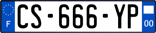 CS-666-YP