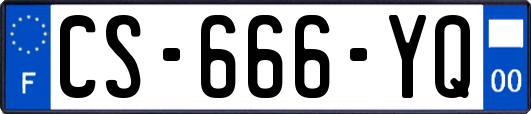 CS-666-YQ