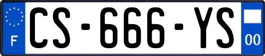 CS-666-YS