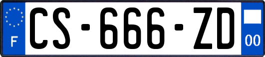 CS-666-ZD