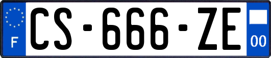 CS-666-ZE
